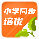 法比奧：我們深知這將是一場硬仗，但已達成使命成功晉級下一輪